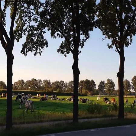 Tiny House In Brabant With Cozy Terrace Dağ evi *