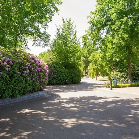 Domek alpejski Tiny House In Brabant With Cozy Terrace *