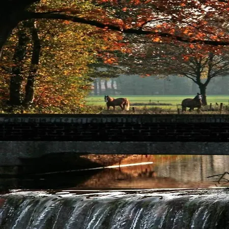 Tiny House In Brabant With Cozy Terrace Dağ evi Oirschot