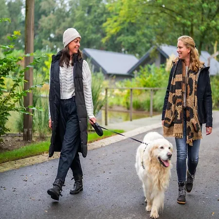 Tiny House In Brabant With Cozy Terrace *