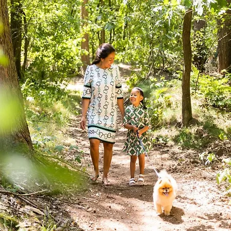 Tiny House In Brabant With Cozy Terrace *