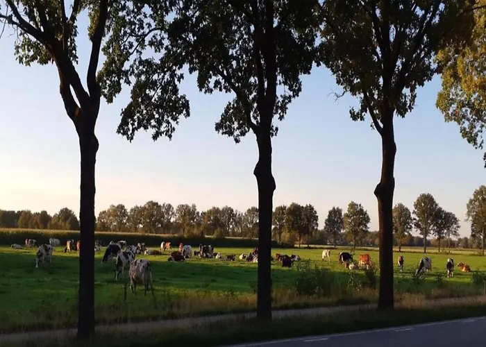 Tiny House In Brabant With Cozy Terrace Domek alpejski *