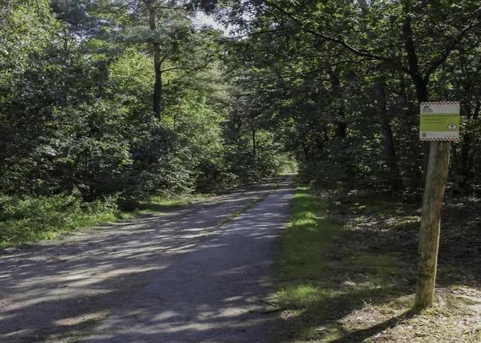 Tiny House In Brabant With Cozy Terrace Domek alpejski Oirschot
