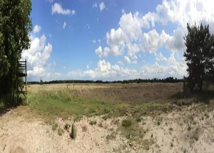 Domek alpejski Tiny House In Brabant With Cozy Terrace Oirschot