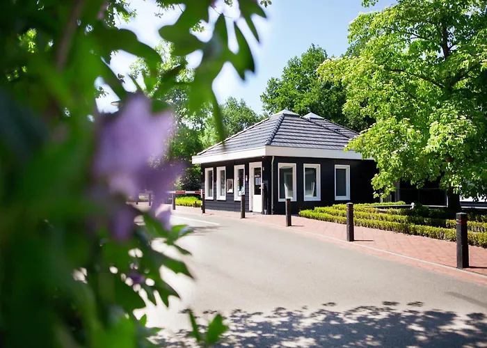 Tiny House In Brabant With Cozy Terrace *