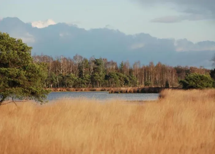 Tiny House In Brabant With Cozy Terrace Domek alpejski