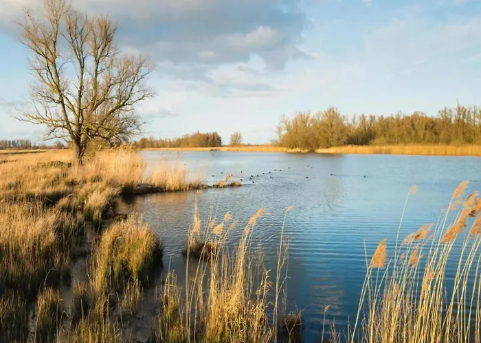 Tiny House In Brabant With Cozy Terrace Domek alpejski Oirschot