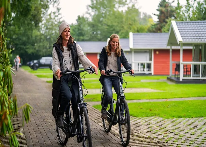 Tiny House In Brabant With Cozy Terrace Domek alpejski *