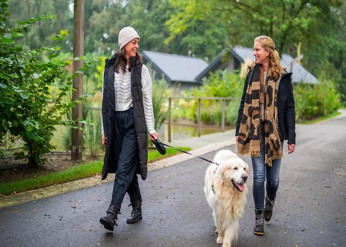 Tiny House In Brabant With Cozy Terrace *