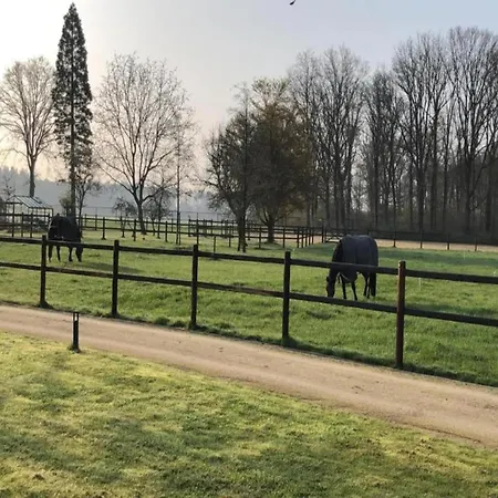 Tiny House In Brabant With Cozy Terrace 샬레 *