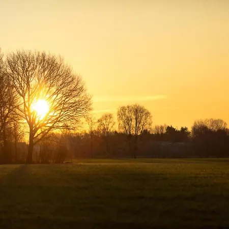 Tiny House In Brabant With Cozy Terrace 샬레 오쇼트