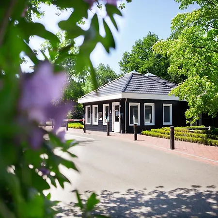 Tiny House In Brabant With Cozy Terrace *