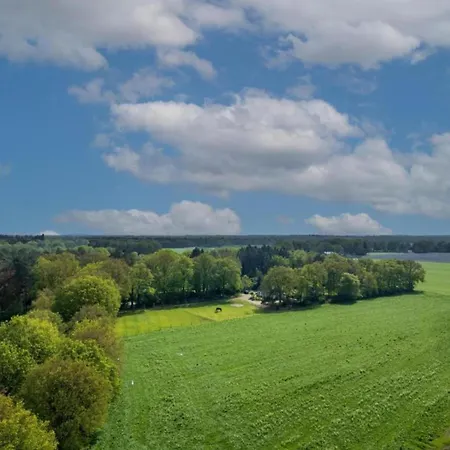 Tiny House In Brabant With Cozy Terrace 오쇼트