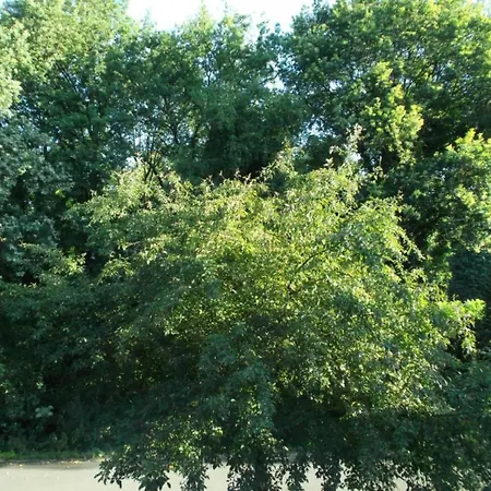 Tiny House In Brabant With Cozy Terrace * 오쇼트