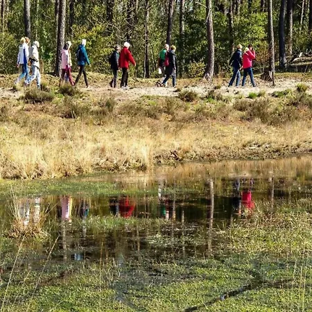 Tiny House In Brabant With Cozy Terrace 오쇼트