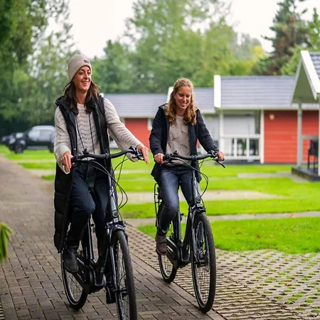 Tiny House In Brabant With Cozy Terrace 샬레 *